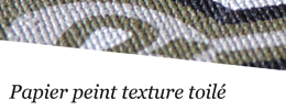 texture toilé