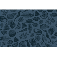 Set Shellfish Midnight Blue